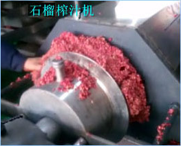 石榴洗果去皮榨汁生产现场
