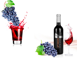 葡萄加工生产线