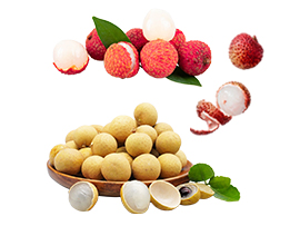 葡萄加工生产线