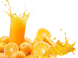 柑橘（脐橙）加工生产线