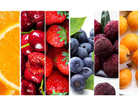 其它核果和浆果类加工设备