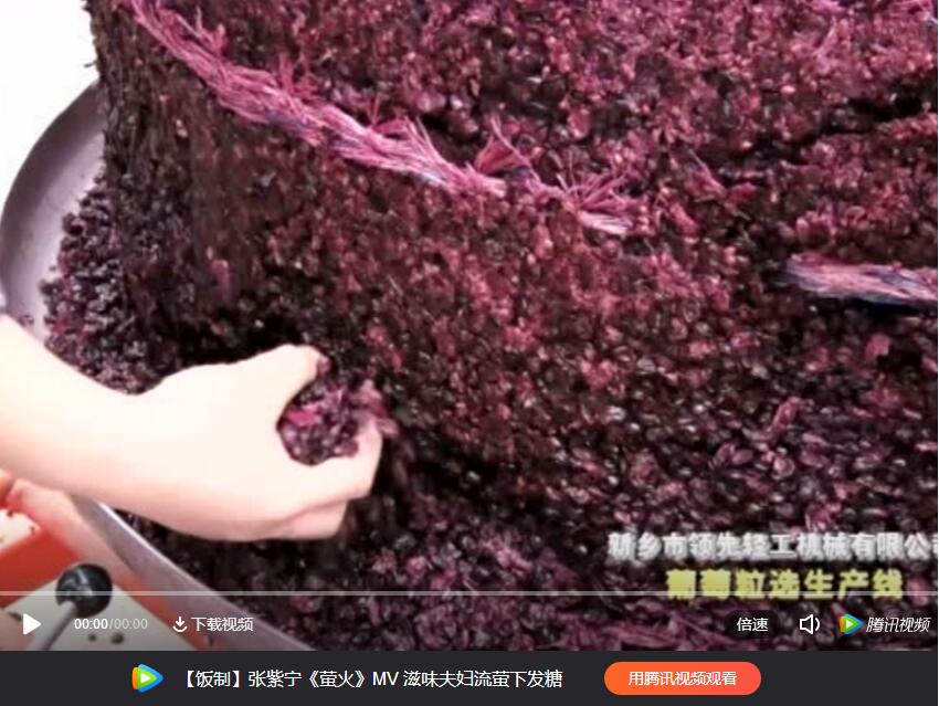 转筒式葡萄除梗粒选一体机