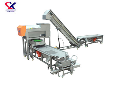 转筒式脱梗粒选生产线