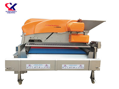 链板式葡萄除梗粒选机