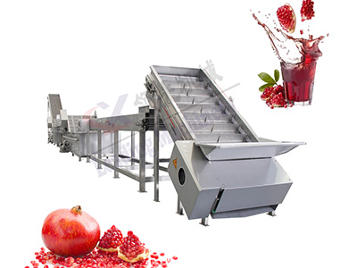 石榴果汁生产线
