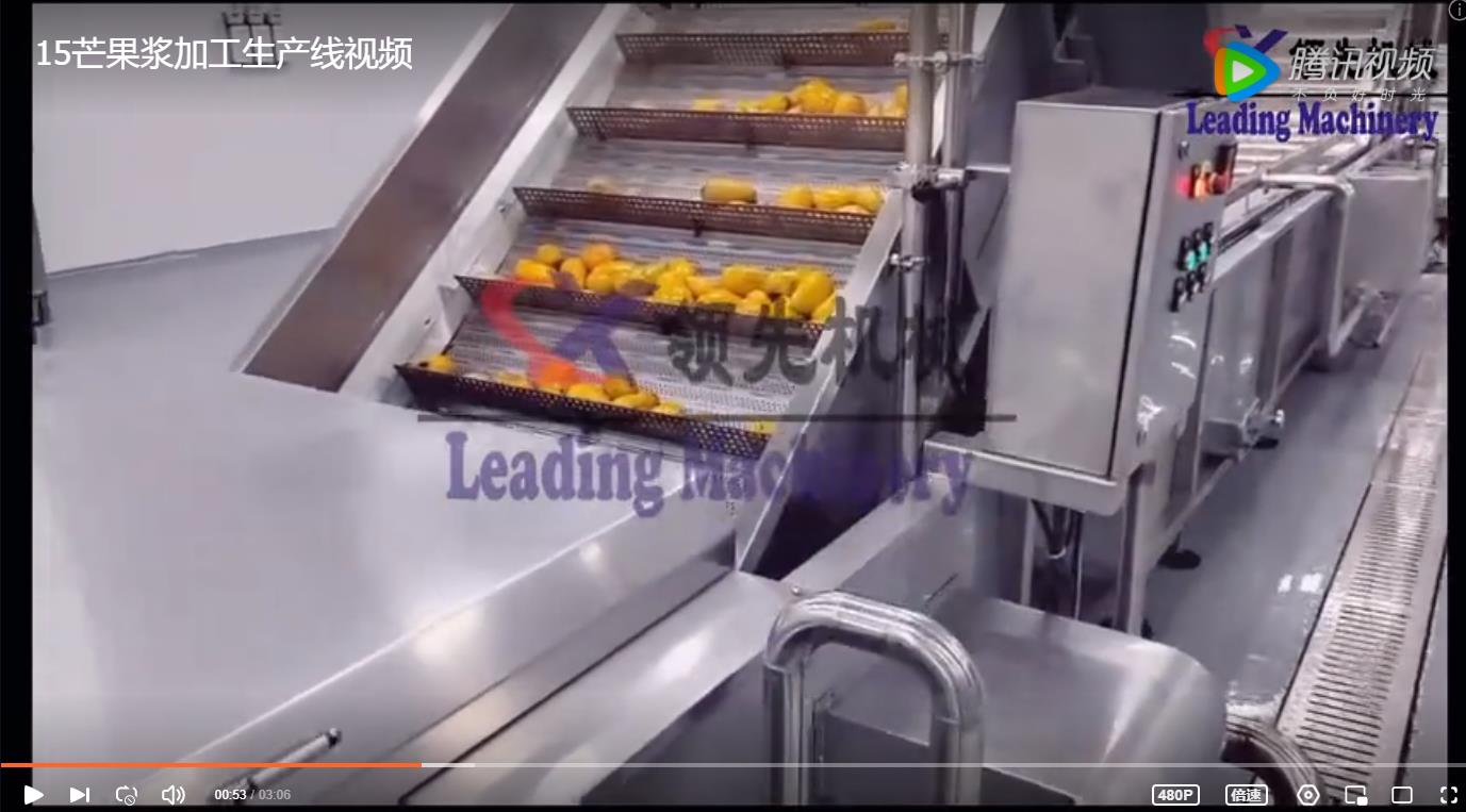 芒果浆加工生产线视频
