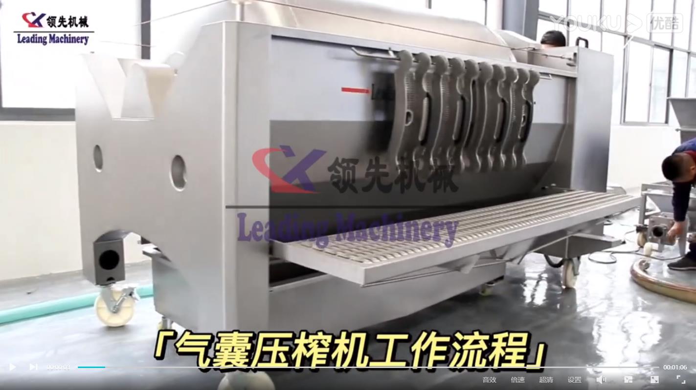 菠萝破碎榨汁（气囊压榨机）