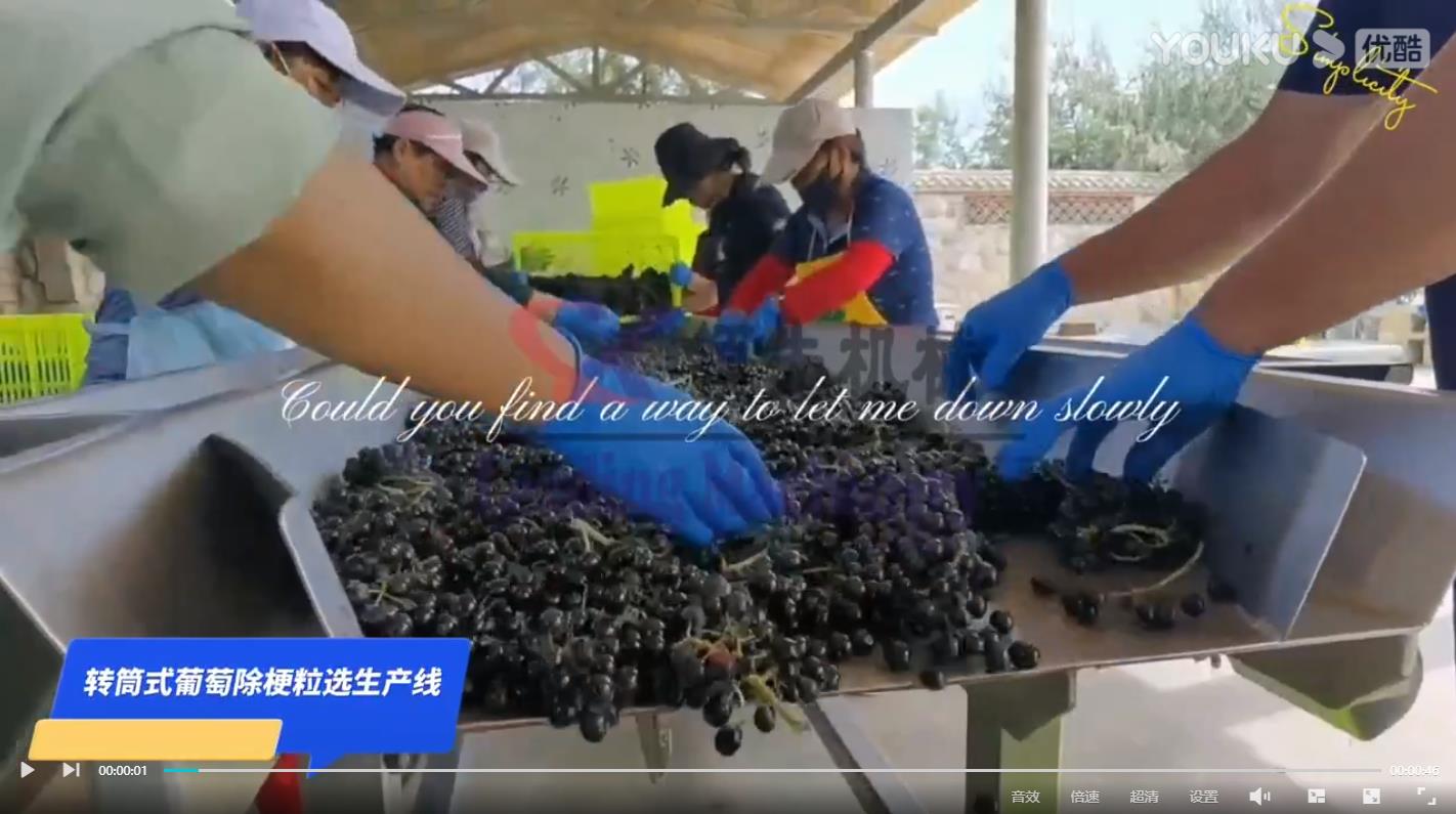 转筒式葡萄除梗粒选生产线